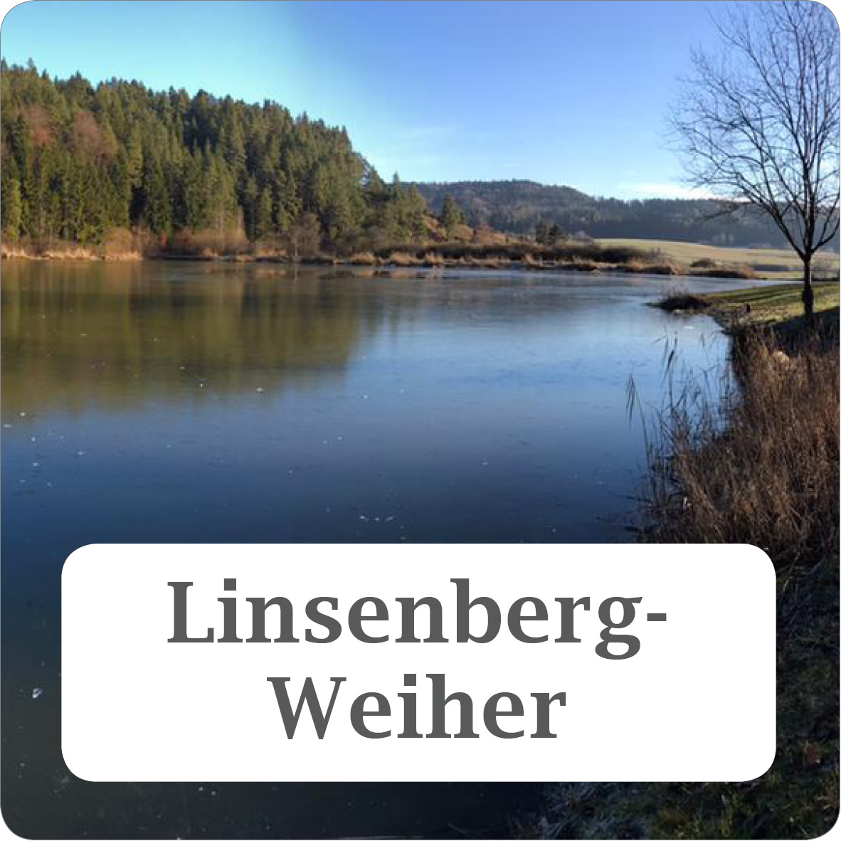 Link zum Linsenbergweiher RW-Göllsdorf