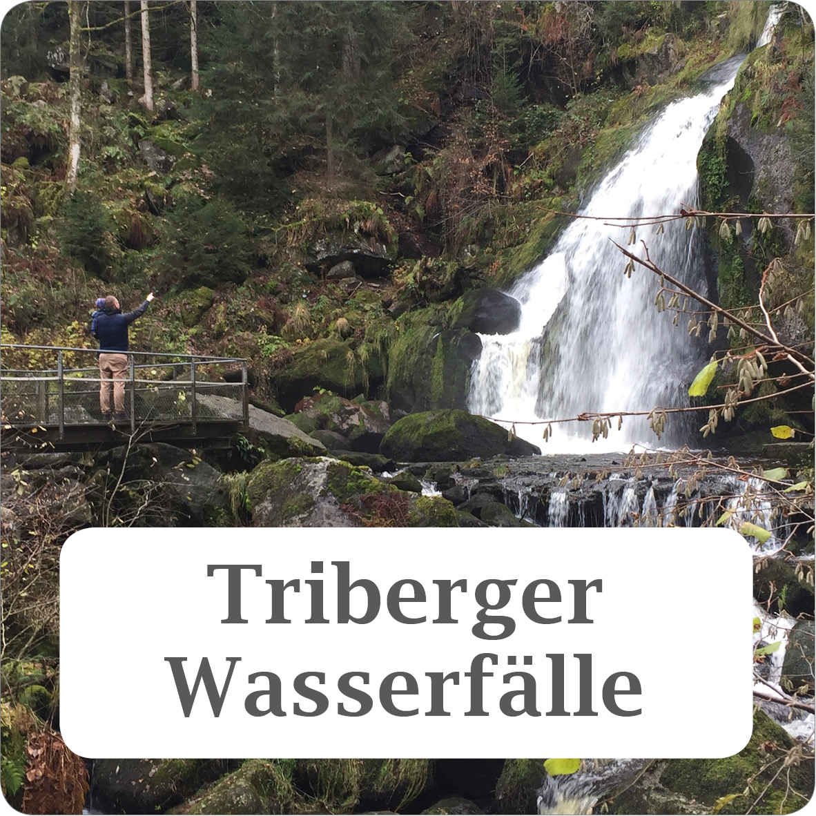 Link zu den Triberger Wasserfällen