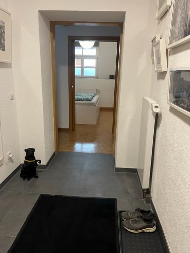Eingangsbereich Eingangsbereich mit Blick in die Wohnung (Schlafzimmer)